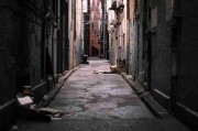 【直播剪影】每日大赛官网主持人口误大合集，评论区炸锅